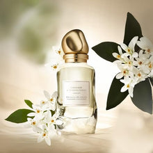 Load image into Gallery viewer, Donna Karan Cashmere Collection Tunisian Neroli Eau de Parfum Perfume Spray For Women, 3.4 Fl. Oz.
