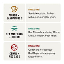 Load image into Gallery viewer, Every Man Jack Men's Deodorant Variety Set - Includes Three Full-Sized Deodorant Sticks with Clean Ingredients &amp; Incredible Scents - Cedar + Red Sage, Amber + Sandalwood, Sea Mineral + Citron
