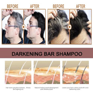 TYAYW Grey Hair Coverage Shampoo Soap 2Pcs, Shouwu Darkening Shampoo Bar for Gray Hair, Natural Blackening Hair Soap for Hair Hydrating & Moisturizing(Polygonum Multiflorum for Grey Hair)