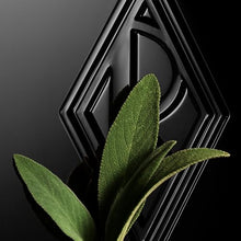 Load image into Gallery viewer, RALPH LAUREN FRAGRANCES - Ralph's Club - Elixir - Men's Cologne - Ambery &amp; Woody - With Orris, Lavandin &amp; Patchouli - Intense Fragrance - 2.5 Fl Oz
