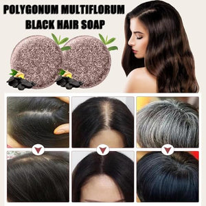 TYAYW Grey Hair Coverage Shampoo Soap 2Pcs, Shouwu Darkening Shampoo Bar for Gray Hair, Natural Blackening Hair Soap for Hair Hydrating & Moisturizing(Polygonum Multiflorum for Grey Hair)