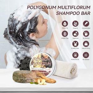 Hotiary Hair Darkening Shampoo Bar, Shouwu Darkening Shampoo Bar for Gray Hair All nature Organic Blackening Shampoo Bar(2 Pack Polygonum Multiflorum for Grey Hair)