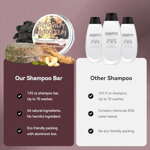 Hotiary Hair Darkening Shampoo Bar, Shouwu Darkening Shampoo Bar for Gray Hair All nature Organic Blackening Shampoo Bar(2 Pack Polygonum Multiflorum for Grey Hair)