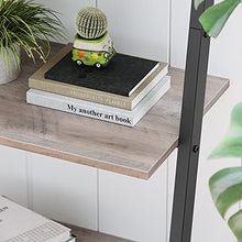 Load image into Gallery viewer, VASAGLE Ladder Shelf, 4-Tier Bookshelf, Storage Rack Shelves, for Living Room, Kitchen, Office, Steel, Stable, Sloping, Leaning Against The Wall, Industrial, Greige and Black ULLS043B02
