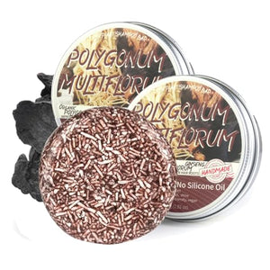 Hotiary Hair Darkening Shampoo Bar, Shouwu Darkening Shampoo Bar for Gray Hair All nature Organic Blackening Shampoo Bar(2 Pack Polygonum Multiflorum for Grey Hair)