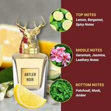 Load image into Gallery viewer, SAIF AL FARES Antler Noir - Signature Perfume for Men with Oriental Citrus Scent | Alcohol Free &amp; Long Lasting Arabian Perfume for Men 3.4 Fl. Oz.
