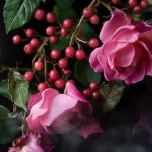 Load image into Gallery viewer, House of Sillage Passion de L'Amour Nouvelle Liaison Men's Fragrance
