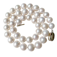 Load image into Gallery viewer, Pearl Romance II Round Pearl II White Pearl Necklace Genuine Cultured Freshwater (10-10.5mm; Necklace 18 Inch)
