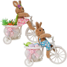 Load image into Gallery viewer, Juegoal Set of 2 Easter Tabletop Decorations Bunny Couple, 10" Rabbits Ride Bike, Cute Animal Figurine Gift, Easter Basket Filler Spring Home Kitchen Room Ornament
