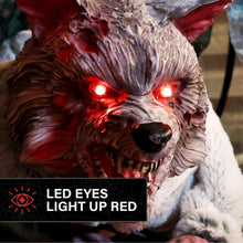 Load image into Gallery viewer, Haunted Hill Farm 2-Ft. Zombie Raccoon Halloween Animatronic
