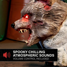 Load image into Gallery viewer, Haunted Hill Farm 2-Ft. Zombie Raccoon Halloween Animatronic
