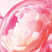 Load image into Gallery viewer, Charlotte Tilbury Love Frequency Eau De Parfum - Pheromone Enhancing Floral Perfume Enriched with Naturally-Derived Oils - Long-Lasting Scent with Notes of Patchouli Musk &amp; Rose (100ml)
