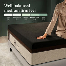 Load image into Gallery viewer, Zinus Lumbar+ Premium Memory Foam Mattress – 14 Inch, Queen, Lumbar Support, Targeted Pressure Relief, Cooling Gel &amp; Green Tea, Fiberglass Free, Medium Firm, CertiPUR-US &amp; OEKO-TEX Certified
