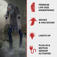 Load image into Gallery viewer, Haunted Hill Farm 7.0-Ft. Motion-Activated Towering Werewolf Animatronic
