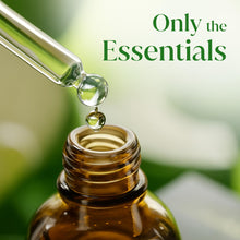 Load image into Gallery viewer, Siva Eucalyptus Essential Oil, Glass Bottle with Dropper, 4 Fl Oz (118 ml)
