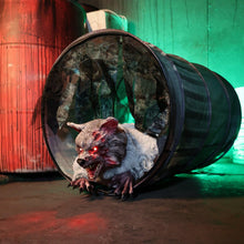 Load image into Gallery viewer, Haunted Hill Farm 2-Ft. Zombie Raccoon Halloween Animatronic
