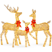 Load image into Gallery viewer, Best Choice Products 3-Piece Large Lighted Christmas Deer Family Set 5Ft Outdoor Yard Decoration with 360 LED Lights, Stakes, Zip Ties - Gold
