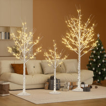 Load image into Gallery viewer, Cofiyard Outdoor Christmas Decorations Lighted Birch Tree Set of 3, LED Warm White 4, 6 and 8 Feet, for Indoor Christmas Decor, Party, Garden, Yard, Wedding, Holiday
