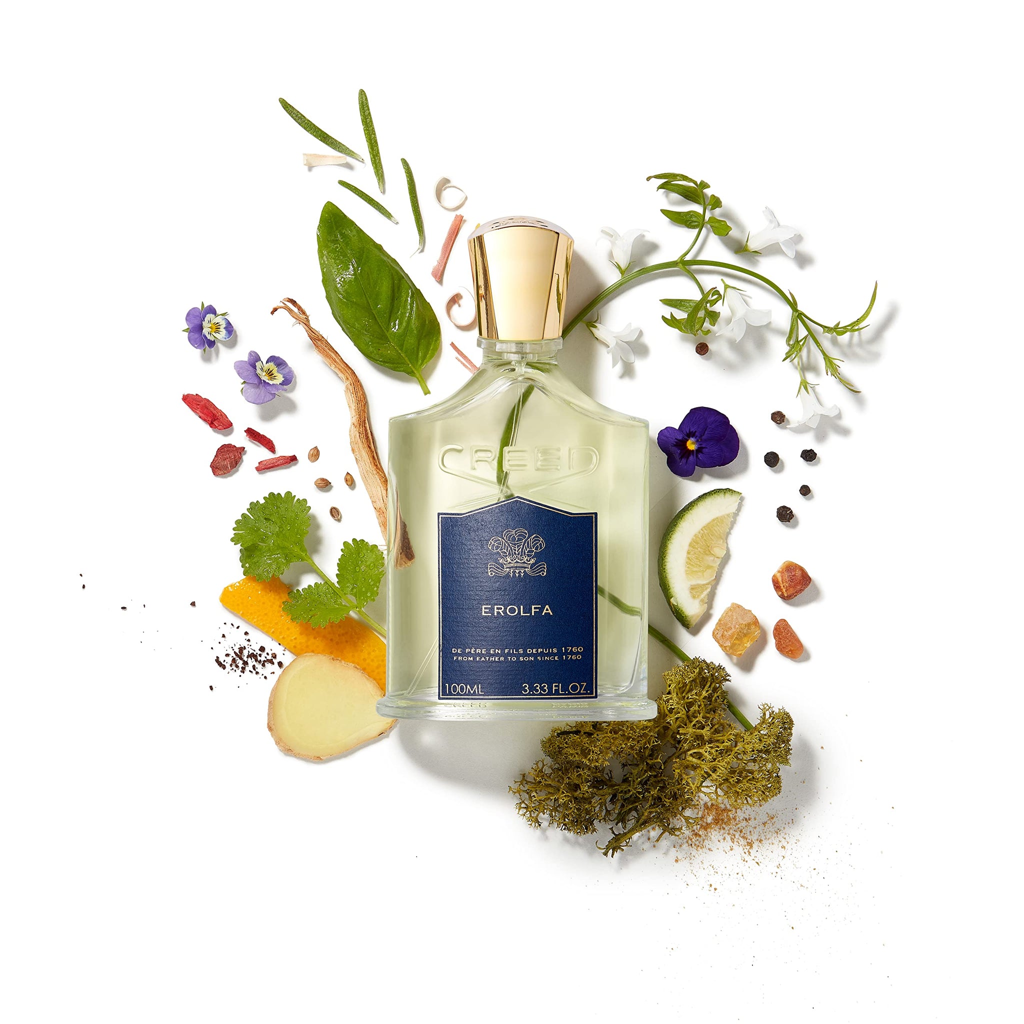 Load image into Gallery viewer, Creed Erolfa, Luxury Perfume for Him & Her, Aromatic Fougère, Marine & Floral Fragrance, 100ML / 3.3 Fl Oz