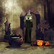 Load image into Gallery viewer, Haunted Hill Farm Life-Size Talking Witch Holding Spell Book, Halloween Animatronic with Touch Activated Lights and Sound, Poseable, Battery Operated Indoor or Covered Outdoor Halloween Decorations
