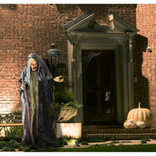 Load image into Gallery viewer, Haunted Hill Farm Life-Size Scary Poseable Talking Witch, Halloween Animatronic with Touch Activated Lights and Sound, Battery Operated Indoor or Covered Outdoor Halloween Decorations, Halloween Prop
