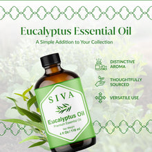 Load image into Gallery viewer, Siva Eucalyptus Essential Oil, Glass Bottle with Dropper, 4 Fl Oz (118 ml)
