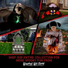 Load image into Gallery viewer, Haunted Hill Farm Scary Talking Groundbreaker Clown, Halloween Animatronic with Motion and Touch Activated Lights and Sounds, Battery Operated Indoor or Covered Outdoor Halloween Decorations
