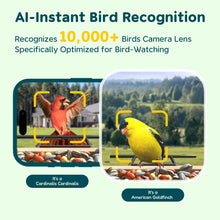 Load image into Gallery viewer, TT Nature Bird Feeder with Camera Solar Powered, Upgraded 1.5L Smart Bird Feeder Camera for Bird Watching, Auto Capture &amp; Instant Real-time Notifications, Ideal Gift for Bird Lovers
