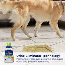 Load image into Gallery viewer, Bissell PET PRO OXY Spot &amp; Stain Formula for Portable Carpet Cleaners, 32 oz., 2034
