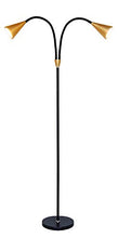 Load image into Gallery viewer, SkyeyArc 2-Light LED Floor Lamp with Flexible Gooseneck for Reading, Craft &amp; Work, Dimmable and Color Adjustable with Remote Control, Standing Pole Light for Living Room, Office, 12W, Black and Golden
