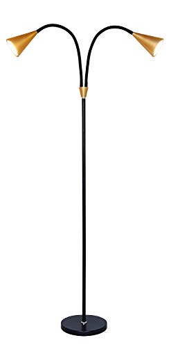 SkyeyArc 2-Light LED Floor Lamp with Flexible Gooseneck for Reading, Craft & Work, Dimmable and Color Adjustable with Remote Control, Standing Pole Light for Living Room, Office, 12W, Black and Golden