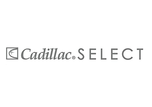 Load image into Gallery viewer, Cadillac Select Leather Furniture Cleaner and Conditioner for Couch, Car Auto Interior Seats, Bags, Jackets, Large Leather Surfaces – Complete Care Spray