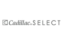 Load image into Gallery viewer, Cadillac Select Leather Furniture Cleaner and Conditioner for Couch, Car Auto Interior Seats, Bags, Jackets, Large Leather Surfaces – Complete Care Spray
