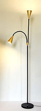 Load image into Gallery viewer, SkyeyArc 2-Light LED Floor Lamp with Flexible Gooseneck for Reading, Craft &amp; Work, Dimmable and Color Adjustable with Remote Control, Standing Pole Light for Living Room, Office, 12W, Black and Golden
