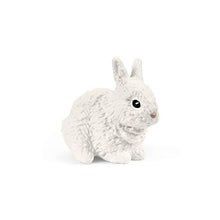 Load image into Gallery viewer, Schleich Farm World 14-piece Rabbit and Guinea Pig Hutch Toy Set with Animal Figures for Kids Ages 3-8, 5.7 x 19 x 11.5 cm
