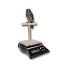 Load image into Gallery viewer, ZIEIS Digital Bird Scale | A63SS-NMP | Mounted Wooden T Perch | 1.0 Gram or 0.05 Ounce Accuracy | 3000 Gram or 96 Ounce Capacity | Stainless Steel Platform
