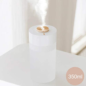 LYLYFAN Portable USB Humidifier Small Cool Mist Humidifier 350ml with Night Light for Bedroom Travel Home and Office