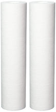 Load image into Gallery viewer, Culligan P5A P5 Whole House Premium Water Filter, 8,000 Gallons, 2 Count (Pack of 1), White
