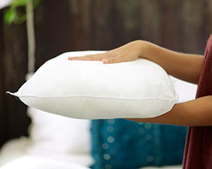 Foamily Premium Hypoallergenic Stuffer Pillow Insert Sham Square Form Polyester, 18" x 18", White