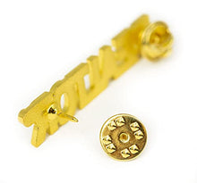 Load image into Gallery viewer, Real Estate Agent REALTOR® Crystal Lapel Pin (REALTOR Silver &amp; Gold 2 Pack)
