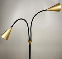 Load image into Gallery viewer, SkyeyArc 2-Light LED Floor Lamp with Flexible Gooseneck for Reading, Craft &amp; Work, Dimmable and Color Adjustable with Remote Control, Standing Pole Light for Living Room, Office, 12W, Black and Golden
