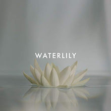 Load image into Gallery viewer, Alfred Sung SHI Eau De Parfum Spray, Perfume for Women with Fig Leaves &amp; Lilies, 3.4 oz
