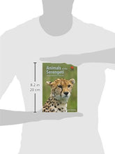 Load image into Gallery viewer, Animals of the Serengeti: And Ngorongoro Conservation Area (Wildlife Explorer Guides)
