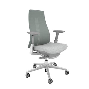 Haworth Fern High Performance Office Chair with Ergonomic Innovations and Flexible Mesh Back, Silver Leaf