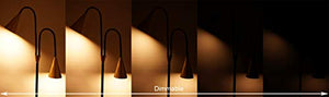 SkyeyArc 2-Light LED Floor Lamp with Flexible Gooseneck for Reading, Craft & Work, Dimmable and Color Adjustable with Remote Control, Standing Pole Light for Living Room, Office, 12W, Black and Golden