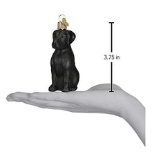Load image into Gallery viewer, Old World Christmas Black Labrador Dog Collection Glass Blown Ornaments for Christmas Tree
