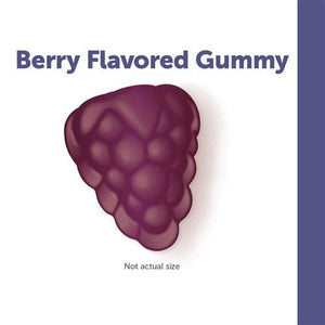 Nature's Way Sambucus Elderberry Gummies, 60 Gummies (2-Pack)