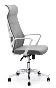 Allguest Office Chair Home Computer Chair White High Back Armrest Ergonomic Adjustable Lumbar Support Mesh Nylon AG-876FH-W
