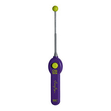 Load image into Gallery viewer, Karen Pryor Clicker Training Terry Ryan Clik Stik for Pet Training
