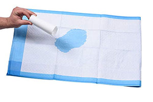 A WORLD OF DEALS INC2336R Disposable Blue Underpad 23 X 36, 150/Case
